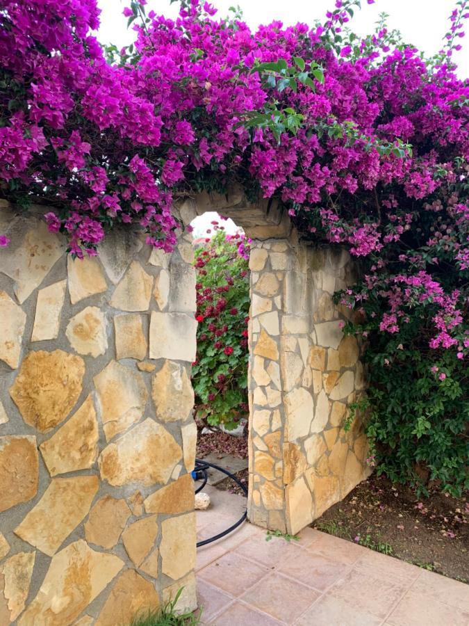 Villa Sunlight Sardegna กาปิตานา ภายนอก รูปภาพ
